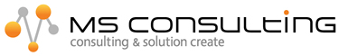 ms consulting